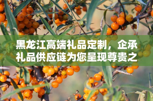 黑龙江高端礼品定制，企承礼品供应链为您呈现尊贵之选